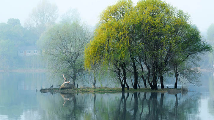 西湖夏季避暑景点推荐，这些地方让你远离酷暑！