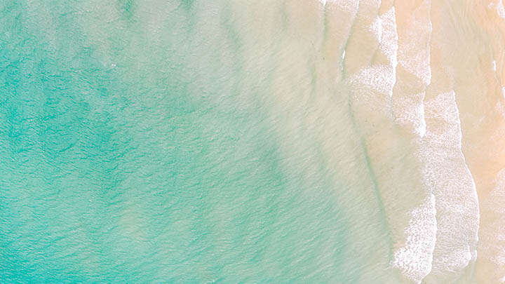 西湖苏堤春晓，春日必打卡的浪漫之境